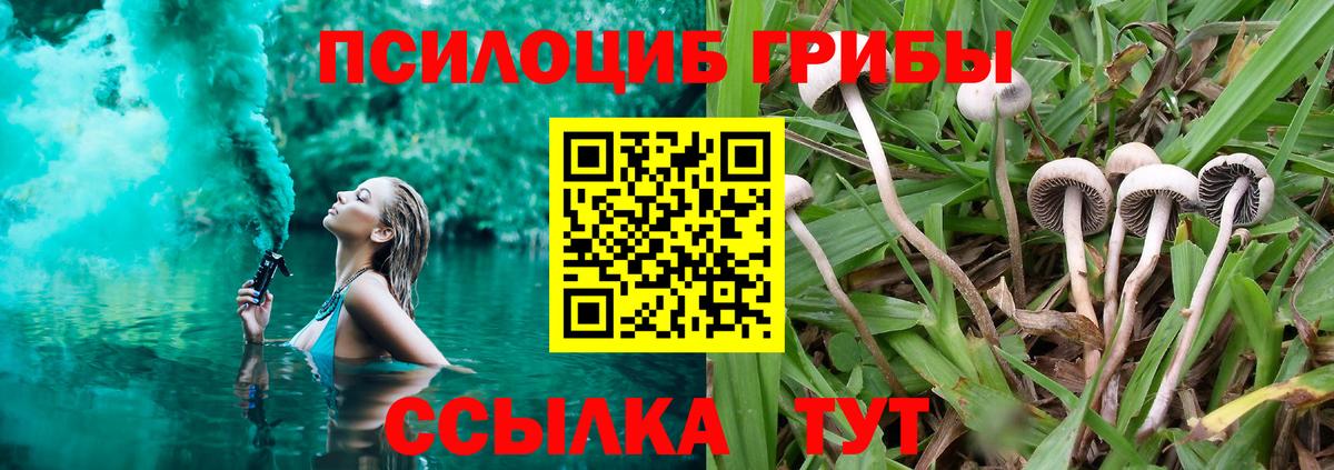 Галлюциногенные грибы Magic Shrooms Электрогорск