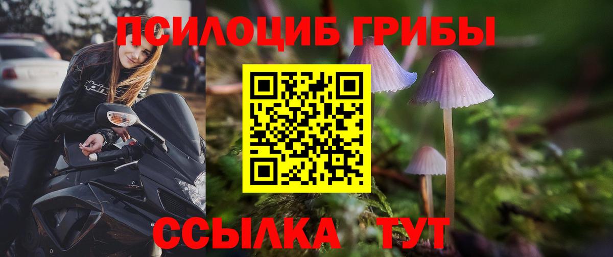 Галлюциногенные грибы MAGIC MUSHROOMS  Псилоцибиновые грибы Psilocybe  Электрогорск  Вход с VPN 